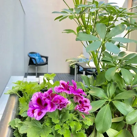 Oportowaves Appartamento Matosinhos (Porto)