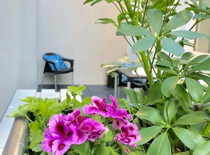 Oportowaves Apartament Matosinhos (Porto)